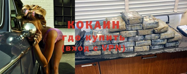 стафф Струнино