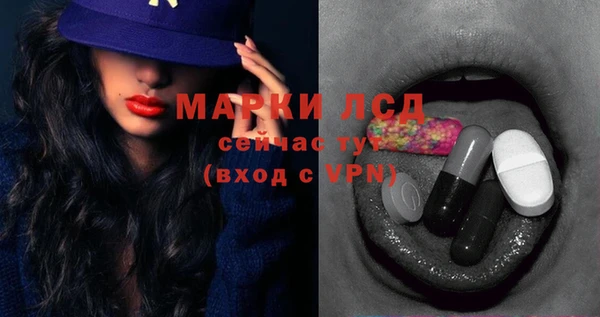 стафф Струнино